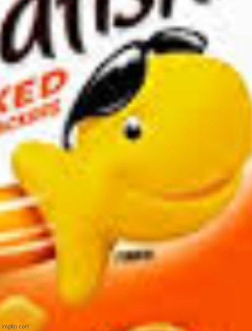 you know what kind of snack these goldfish are, right? | made w/ Imgflip meme maker