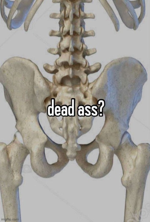 dead ass? | image tagged in dead ass | made w/ Imgflip meme maker