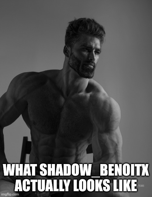 Giga Chad | WHAT SHADOW_BENOITX ACTUALLY LOOKS LIKE | image tagged in giga chad | made w/ Imgflip meme maker