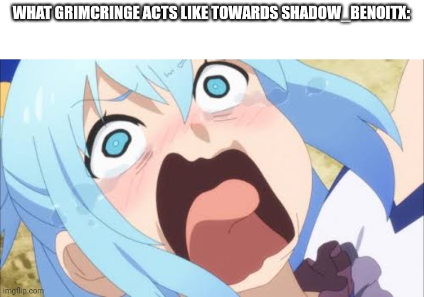 Aqua crying/screaming | WHAT GRIMCRINGE ACTS LIKE TOWARDS SHADOW_BENOITX: | image tagged in aqua crying/screaming | made w/ Imgflip meme maker