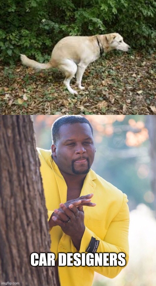 CAR DESIGNERS | image tagged in dog pooping,black guy hiding behind tree | made w/ Imgflip meme maker