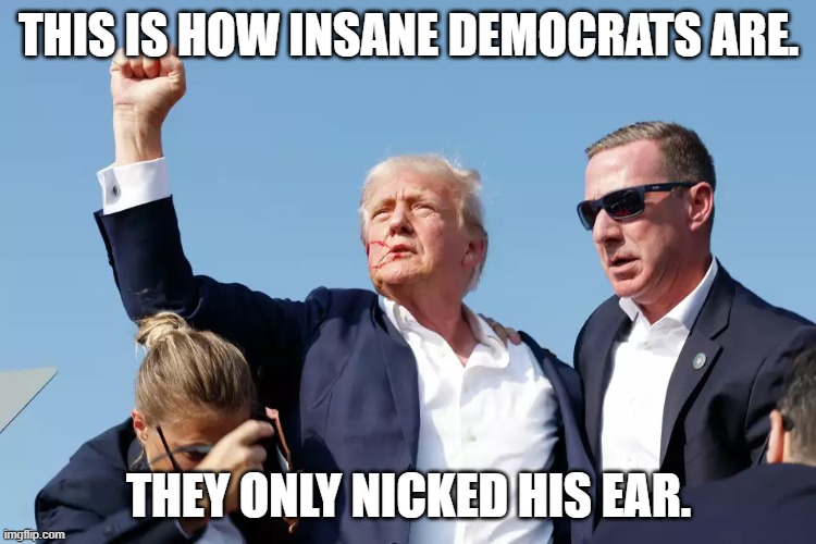 Democrats, you really need to pull your heads out and look at who Trump really is and not what you have been spoon fed. | THIS IS HOW INSANE DEMOCRATS ARE. THEY ONLY NICKED HIS EAR. | image tagged in trump is not the end of the world,trump is not the worst president ever,trump is just not who you think he is | made w/ Imgflip meme maker