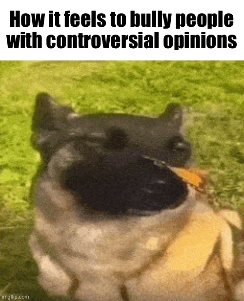 dog with butterfly | How it feels to bully people with controversial opinions | image tagged in dog with butterfly | made w/ Imgflip meme maker