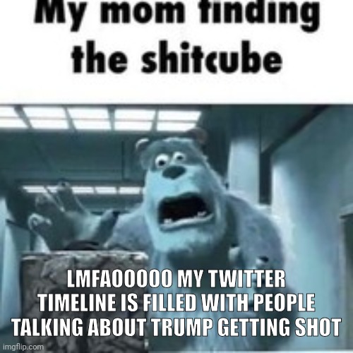 sorry for "politics" ig butTHEY HIT THE PENTAGON | LMFAOOOOO MY TWITTER TIMELINE IS FILLED WITH PEOPLE TALKING ABOUT TRUMP GETTING SHOT | image tagged in my mom finding the shitcube | made w/ Imgflip meme maker