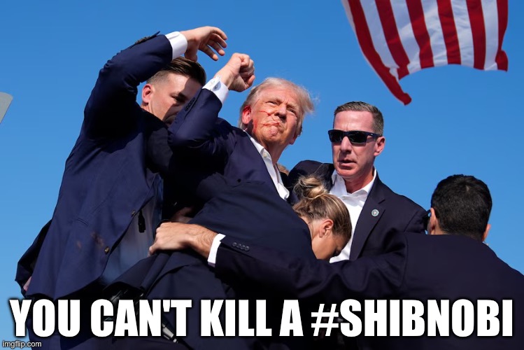 YOU CAN'T KILL A #SHIBNOBI | made w/ Imgflip meme maker