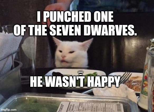 Smudge that darn cat | I PUNCHED ONE OF THE SEVEN DWARVES. HE WASN'T HAPPY | image tagged in smudge that darn cat | made w/ Imgflip meme maker
