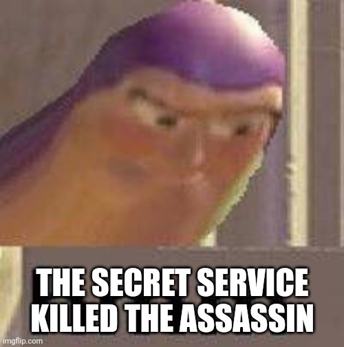 Hmmmm | THE SECRET SERVICE KILLED THE ASSASSIN | image tagged in hmmmm | made w/ Imgflip meme maker