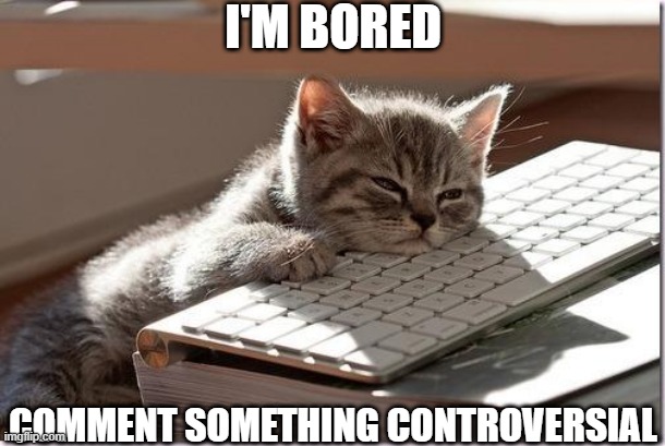 Bored Keyboard Cat | I'M BORED; COMMENT SOMETHING CONTROVERSIAL | image tagged in bored keyboard cat | made w/ Imgflip meme maker