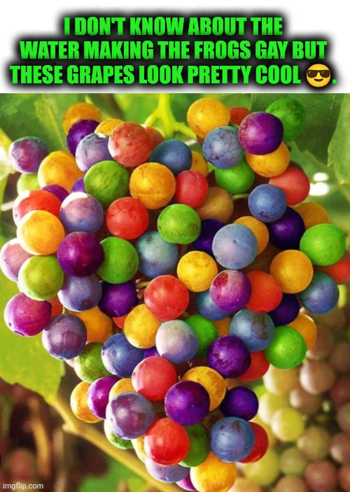 Funny | I DON'T KNOW ABOUT THE WATER MAKING THE FROGS GAY BUT THESE GRAPES LOOK PRETTY COOL 😎. | image tagged in funny,alex jones,frogs,grapes,water,lol | made w/ Imgflip meme maker