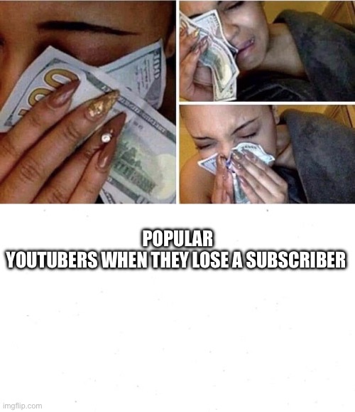 Popular youtubers | POPULAR YOUTUBERS WHEN THEY LOSE A SUBSCRIBER | image tagged in wipe tears with money,plain white template,youtubers,funny,so true memes | made w/ Imgflip meme maker