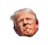 Funny trump Meme Template