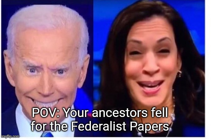 Biden Harris | POV: Your ancestors fell for the Federalist Papers | image tagged in biden harris | made w/ Imgflip meme maker