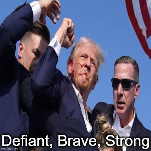 One in a Million | Defiant, Brave, Strong | image tagged in politics,donald trump,strong,brave,defiant,make america great again | made w/ Imgflip meme maker