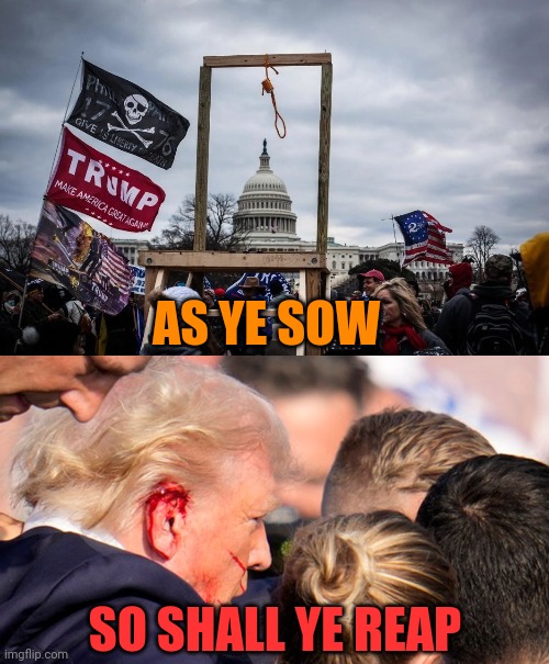 I'm not saying trump asked for it, but actually, yes, I'm saying exactly that. | AS YE SOW; SO SHALL YE REAP | image tagged in 1/6 coup attempt,trump assassination attempt,karma's a bitch | made w/ Imgflip meme maker