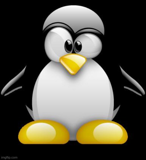 Tux Linux | image tagged in tux linux | made w/ Imgflip meme maker