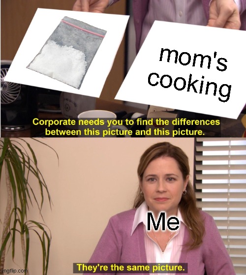 Mom's cooking is so good | mom's cooking; Me | image tagged in memes,they're the same picture | made w/ Imgflip meme maker