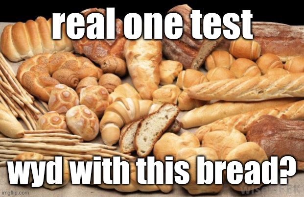 bread | real one test; wyd with this bread? | image tagged in bread | made w/ Imgflip meme maker