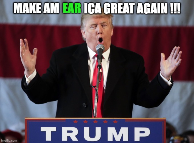 Make america great again | EAR; MAKE AM; ICA GREAT AGAIN !!! | image tagged in make america great again,donald trump,shooting,election,2024,political meme | made w/ Imgflip meme maker