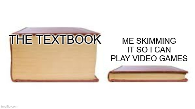 lemme just skip all the important things | ME SKIMMING IT SO I CAN PLAY VIDEO GAMES; THE TEXTBOOK | image tagged in big book small book,video games,reading,lazy | made w/ Imgflip meme maker