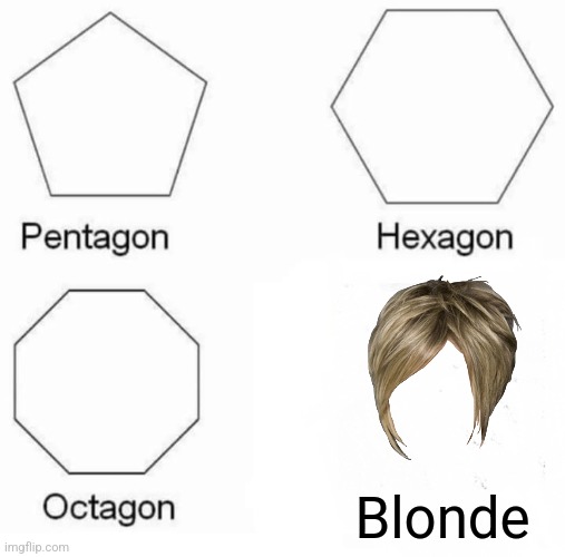 Blonde | Blonde | image tagged in memes,pentagon hexagon octagon,funny memes,funny,jpfan102504 | made w/ Imgflip meme maker