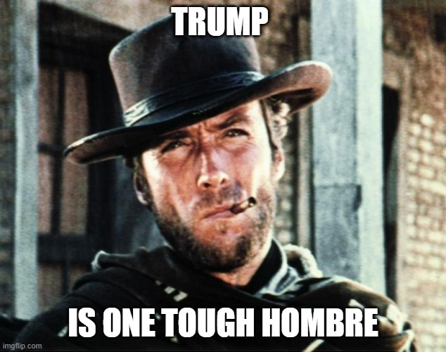 Like Em or Not | TRUMP; IS ONE TOUGH HOMBRE | image tagged in josey wales | made w/ Imgflip meme maker