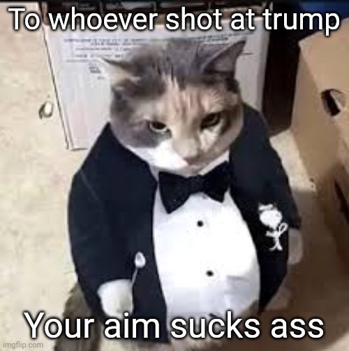 tux cat | To whoever shot at trump; Your aim sucks ass | image tagged in tux cat | made w/ Imgflip meme maker