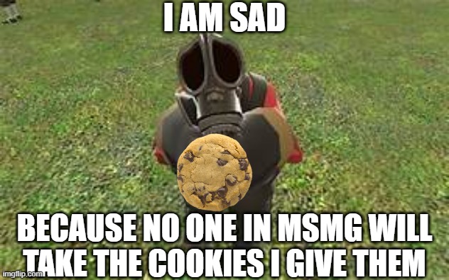 begging Pyro | I AM SAD; BECAUSE NO ONE IN MSMG WILL TAKE THE COOKIES I GIVE THEM | image tagged in begging pyro | made w/ Imgflip meme maker