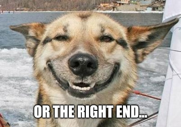 smiling dog | OR THE RIGHT END... | image tagged in smiling dog | made w/ Imgflip meme maker