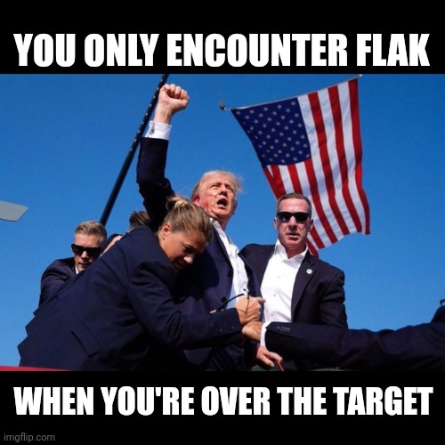 Doing the job needed | YOU ONLY ENCOUNTER FLAK; WHEN YOU'RE OVER THE TARGET | image tagged in trump | made w/ Imgflip meme maker