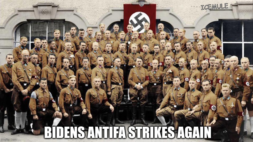 Bidens Antifa | ICEMULE; BIDENS ANTIFA STRIKES AGAIN | made w/ Imgflip meme maker