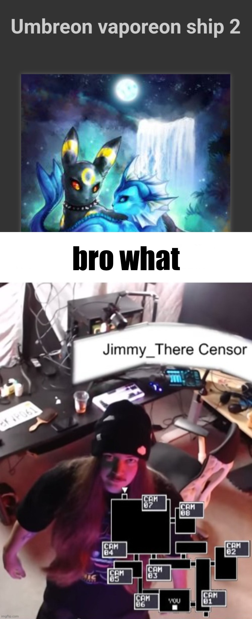 msmg is just on its weird template finding arc | bro what | image tagged in jimmy here i saw what you deleted | made w/ Imgflip meme maker