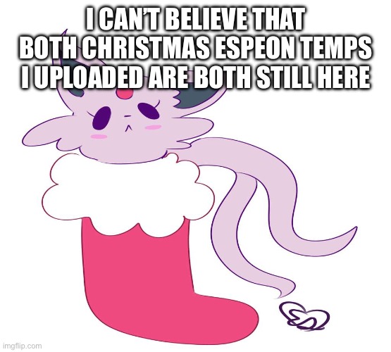Espeon in a stocking | I CAN’T BELIEVE THAT BOTH CHRISTMAS ESPEON TEMPS I UPLOADED ARE BOTH STILL HERE | image tagged in espeon in a stocking | made w/ Imgflip meme maker