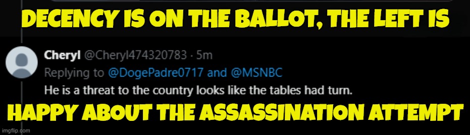 Decency is on the ballot | DECENCY IS ON THE BALLOT, THE LEFT IS; HAPPY ABOUT THE ASSASSINATION ATTEMPT | image tagged in tds,trump derangement syndrome,maga,make america great again,fjb,trump | made w/ Imgflip meme maker