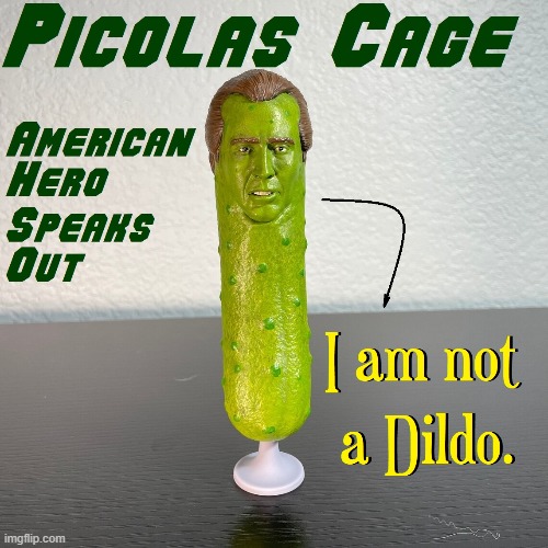 The told me to shape up and it's been downhill ever since | image tagged in vince vance,nicholas cage,memes,pickles,american hero,green | made w/ Imgflip meme maker