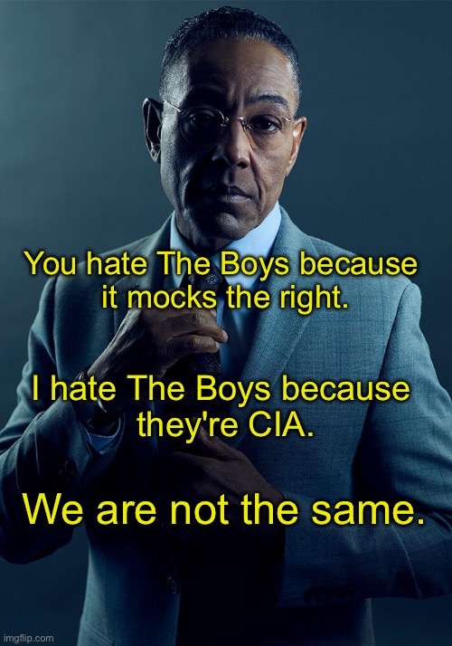 Gus Fring we are not the same | You hate The Boys because 
it mocks the right. I hate The Boys because 
they're CIA. We are not the same. | image tagged in gus fring we are not the same | made w/ Imgflip meme maker