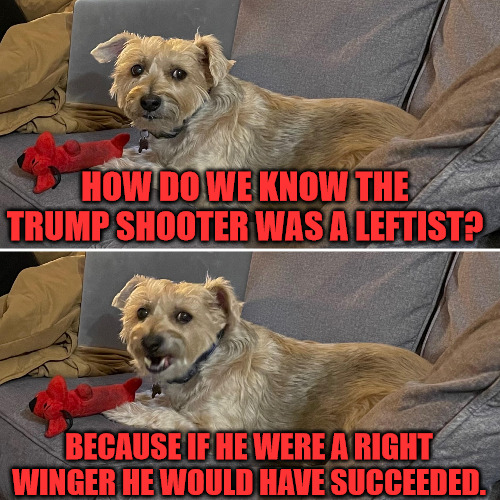 Know Your Shooter | HOW DO WE KNOW THE TRUMP SHOOTER WAS A LEFTIST? BECAUSE IF HE WERE A RIGHT WINGER HE WOULD HAVE SUCCEEDED. | image tagged in dog comedian ready for punchline | made w/ Imgflip meme maker