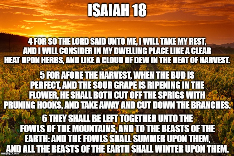 Isaiah 18 4 6 KJV | ISAIAH 18; 4 FOR SO THE LORD SAID UNTO ME, I WILL TAKE MY REST, AND I WILL CONSIDER IN MY DWELLING PLACE LIKE A CLEAR HEAT UPON HERBS, AND LIKE A CLOUD OF DEW IN THE HEAT OF HARVEST. 5 FOR AFORE THE HARVEST, WHEN THE BUD IS PERFECT, AND THE SOUR GRAPE IS RIPENING IN THE FLOWER, HE SHALL BOTH CUT OFF THE SPRIGS WITH PRUNING HOOKS, AND TAKE AWAY AND CUT DOWN THE BRANCHES. 6 THEY SHALL BE LEFT TOGETHER UNTO THE FOWLS OF THE MOUNTAINS, AND TO THE BEASTS OF THE EARTH: AND THE FOWLS SHALL SUMMER UPON THEM, AND ALL THE BEASTS OF THE EARTH SHALL WINTER UPON THEM. | image tagged in isaiah,kjv,salvation,18 46 | made w/ Imgflip meme maker