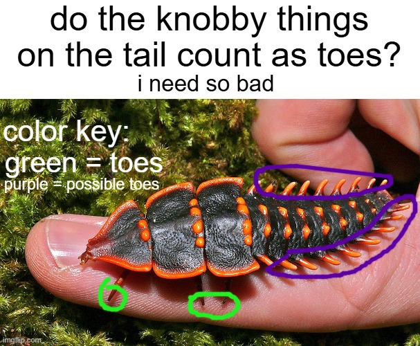 do the knobby things on the tail count as toes? i need so bad; color key:; green = toes; purple = possible toes | made w/ Imgflip meme maker