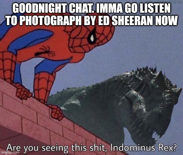 Are you seeing this shit, Indominus Rex? | GOODNIGHT CHAT. IMMA GO LISTEN TO PHOTOGRAPH BY ED SHEERAN NOW | image tagged in are you seeing this shit indominus rex | made w/ Imgflip meme maker
