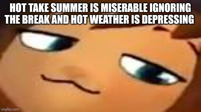 smug hat kid.mp4 | HOT TAKE SUMMER IS MISERABLE IGNORING THE BREAK AND HOT WEATHER IS DEPRESSING | image tagged in smug hat kid mp4 | made w/ Imgflip meme maker