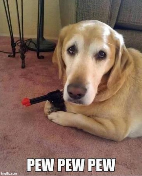 I may be tired but I'm trying... 'K? | image tagged in vince vance,dogs,guns,children's games,memes,pew pew pew | made w/ Imgflip meme maker
