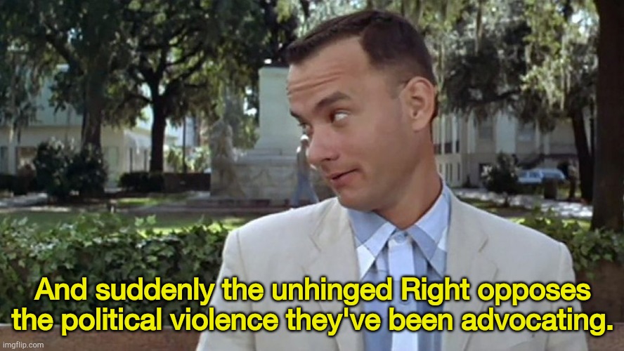 The Right needs to take a long look in the mirror. | And suddenly the unhinged Right opposes the political violence they've been advocating. | image tagged in forrest gump face | made w/ Imgflip meme maker