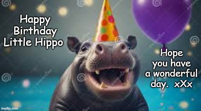 Hippo | Hope you have a wonderful day.  xXx; Happy Birthday Little Hippo | image tagged in hippo | made w/ Imgflip meme maker