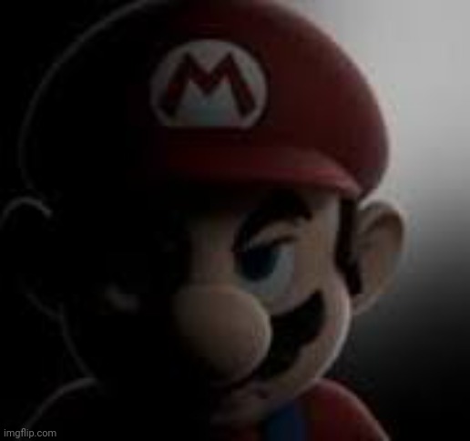 Mario Dont ever do that again | image tagged in mario dont ever do that again | made w/ Imgflip meme maker
