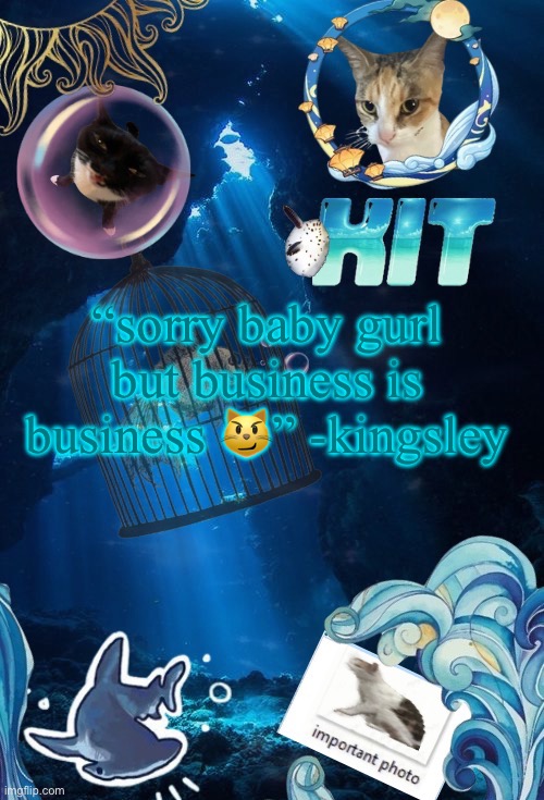 silly announcement template by asriel | “sorry baby gurl but business is business 😼” -kingsley | image tagged in silly announcement template by asriel | made w/ Imgflip meme maker