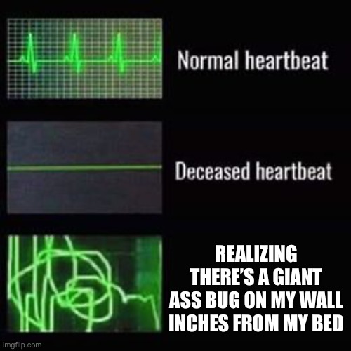 heartbeat rate | REALIZING THERE’S A GIANT ASS BUG ON MY WALL INCHES FROM MY BED | image tagged in heartbeat rate,aaaaaaaaaaaaaaaaaaaaaaaaaaa,cockroach | made w/ Imgflip meme maker