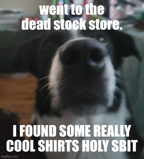 tweaks dock | went to the dead stock store. I FOUND SOME REALLY COOL SHIRTS HOLY SBIT | image tagged in tweaks dock | made w/ Imgflip meme maker