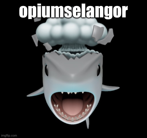 whatever the fuck this means | opiumselangor | image tagged in mind blown shark | made w/ Imgflip meme maker
