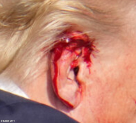 Trump's bloody ear hoax | image tagged in false flag,maga attack,fake blood,no evidence,infowars,foxadanda | made w/ Imgflip meme maker