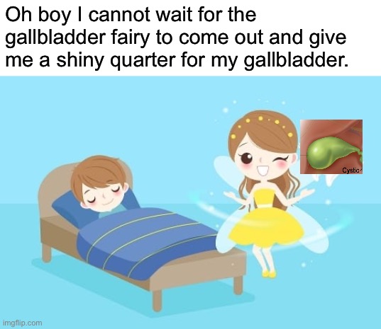The Gallbladder Fairy | Oh boy I cannot wait for the gallbladder fairy to come out and give me a shiny quarter for my gallbladder. | image tagged in memes,shitpost,the gallbladder fairy | made w/ Imgflip meme maker